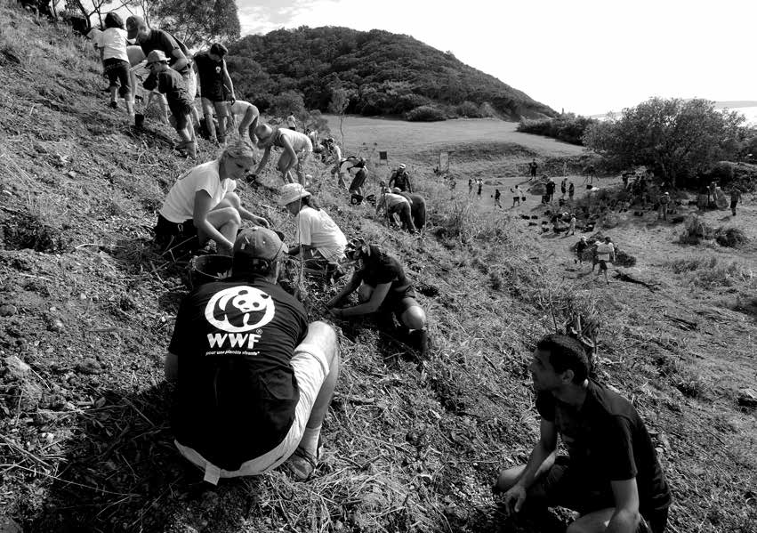 Etude de cas - WWF - impact des dons pour l'environnement
