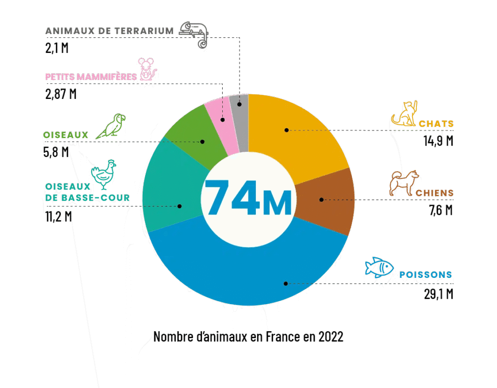 infographie nombre d'animaux en france - associations protection animale